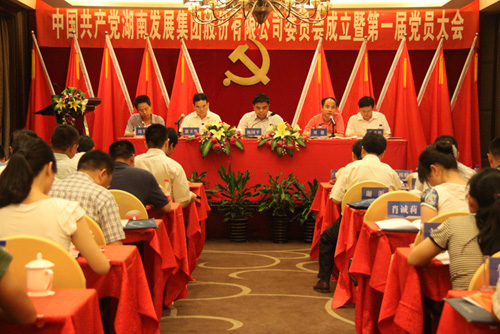 中共乐鱼手机网页版登录入口-乐鱼（中国）集团股份有限公司委员会成立大会暨公司第一届党员代表大会胜利召开