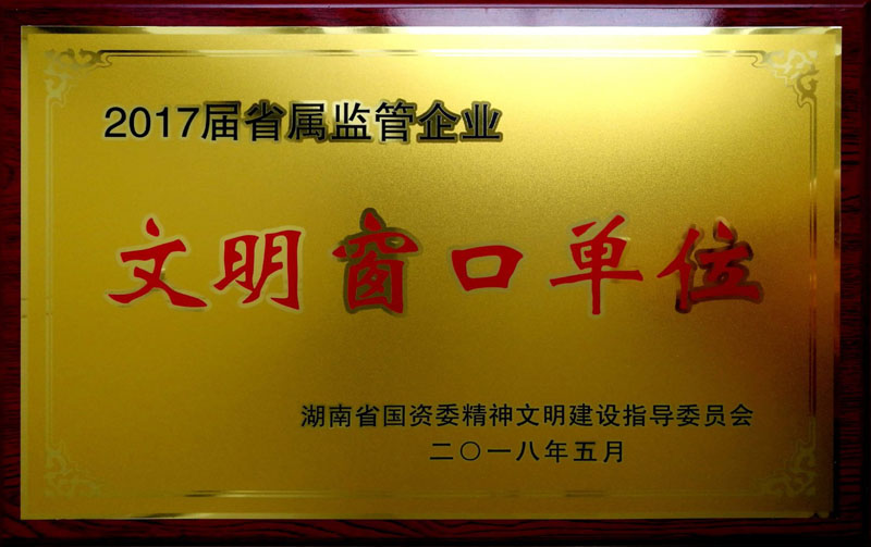 乐鱼手机网页版登录入口-乐鱼（中国）集团养老产业有限公司荣获“省属监管企业文明窗口单位”称号